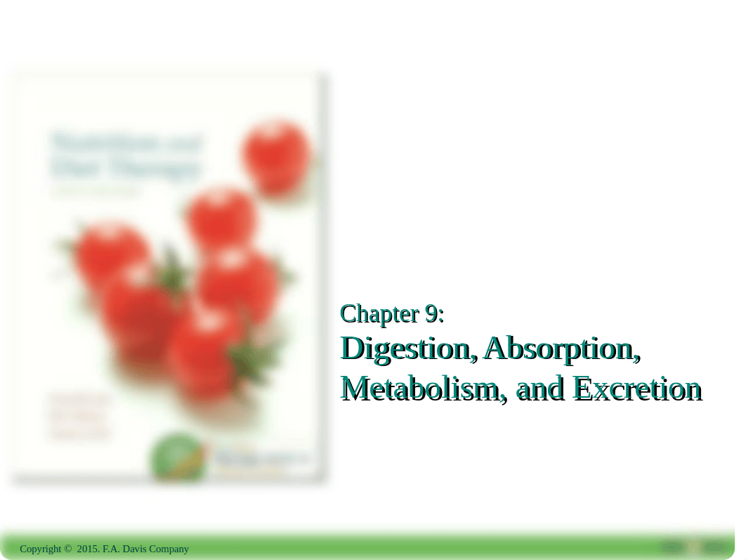 Chapter 9 Digestion.ppt_d5x4p6ol4ux_page1