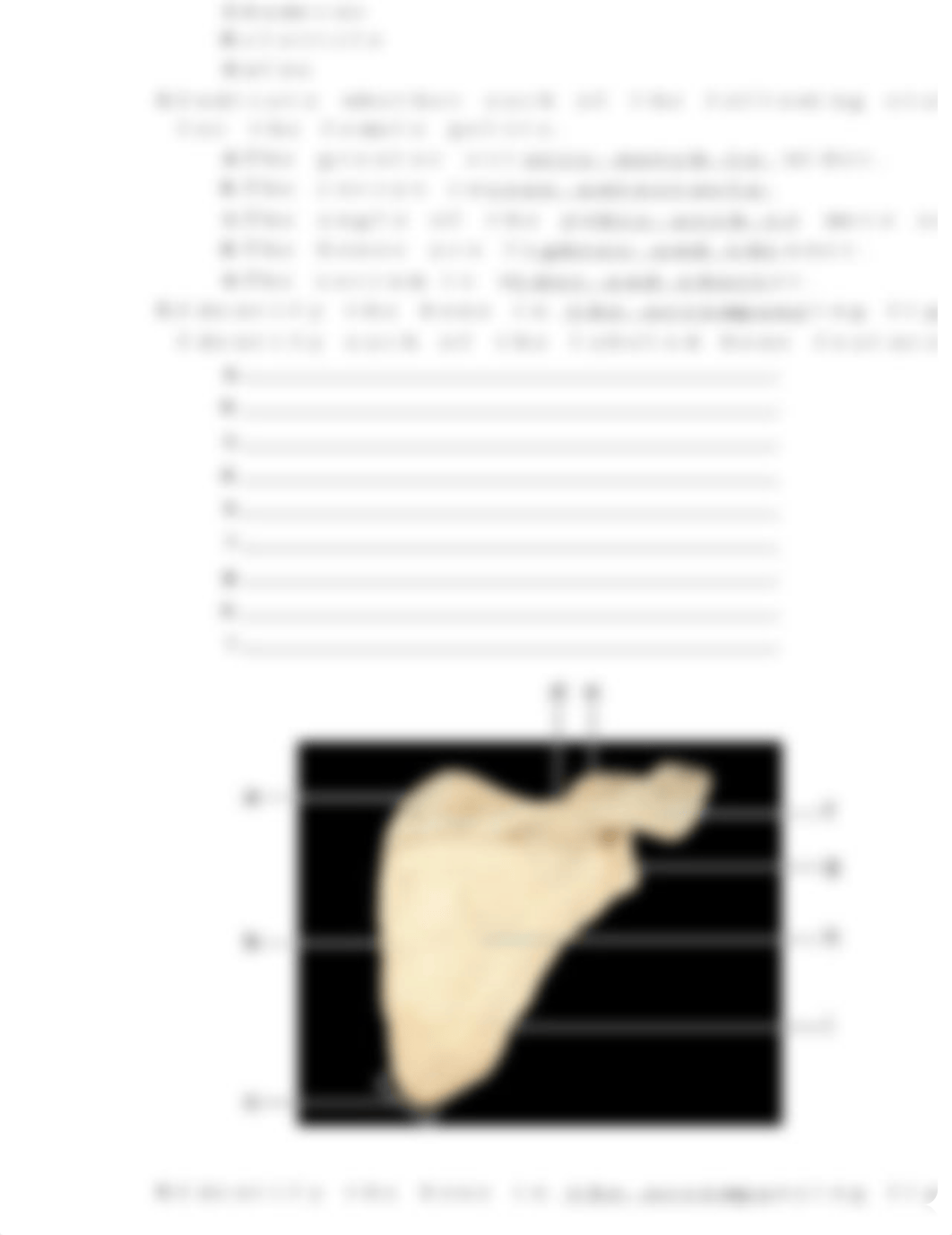 Appendicular Skeleton Lab Simulation Worksheet Doc X (1).docx_d5xa2vzckhe_page2