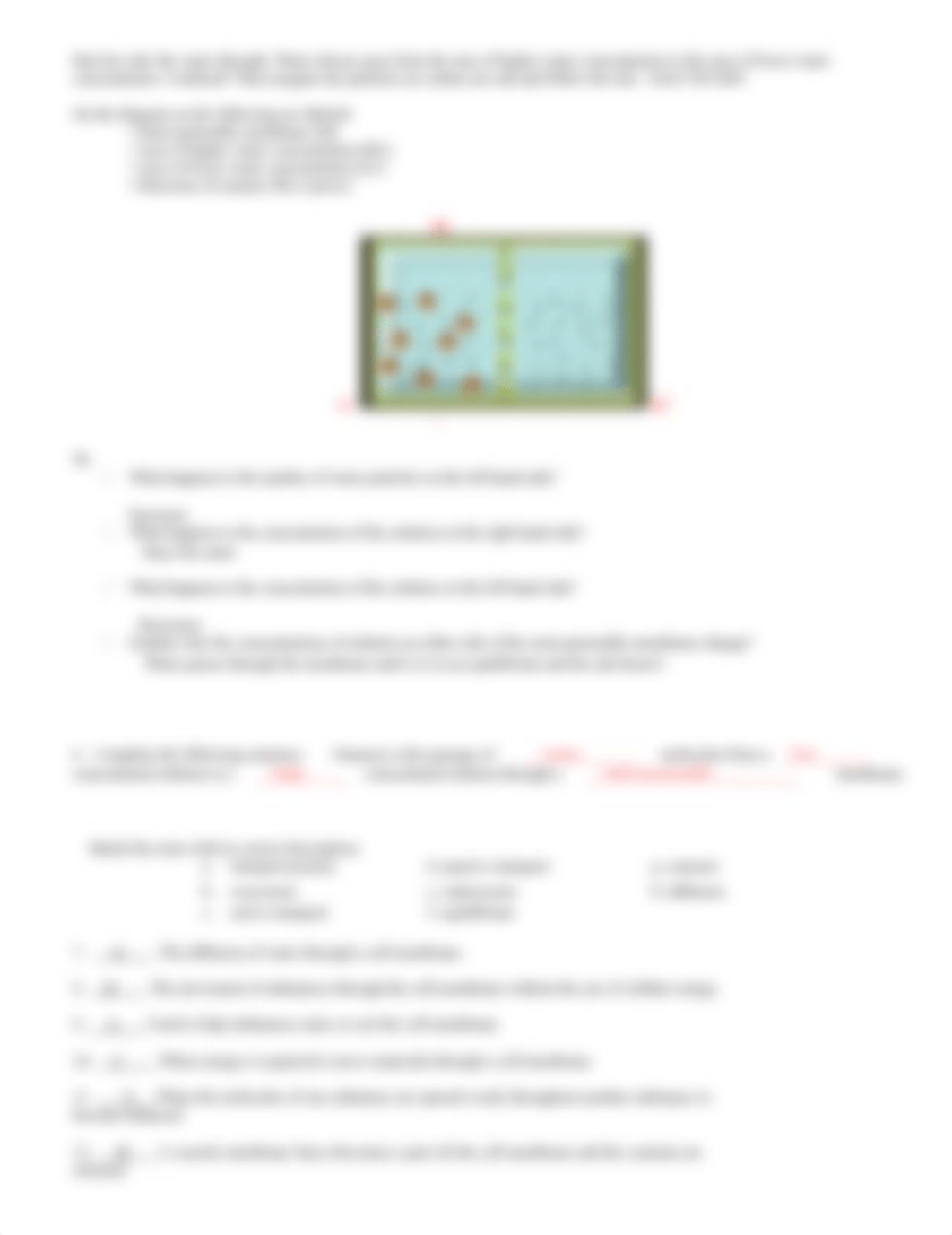 Chapter 5 Diffusion and Osmosis Worksheet.doc_d5xaqbwmjx4_page2