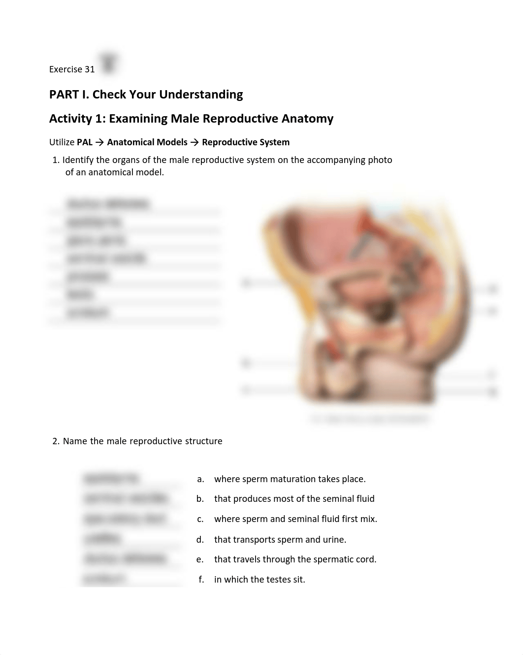 15. Unit 15 laboratory exercise 31 - Andrew Sims.pdf_d5xcbiw8k2h_page1