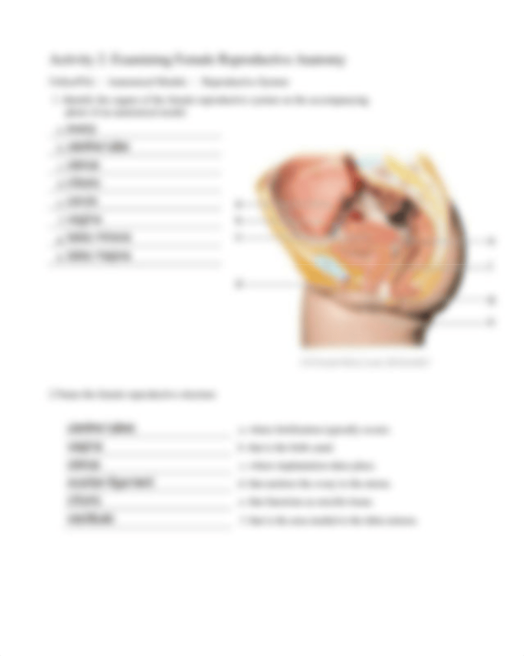 15. Unit 15 laboratory exercise 31 - Andrew Sims.pdf_d5xcbiw8k2h_page2