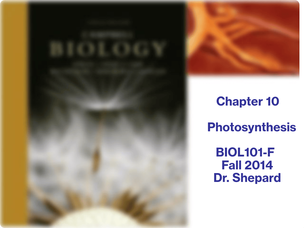 Chapter 10 - Photosynthesis_d5xh9g5pvgt_page1