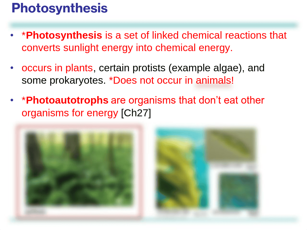 Chapter 10 - Photosynthesis_d5xh9g5pvgt_page4