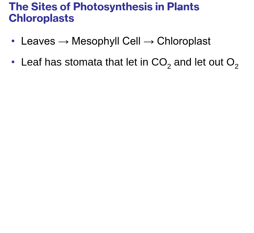 Chapter 10 - Photosynthesis_d5xh9g5pvgt_page5