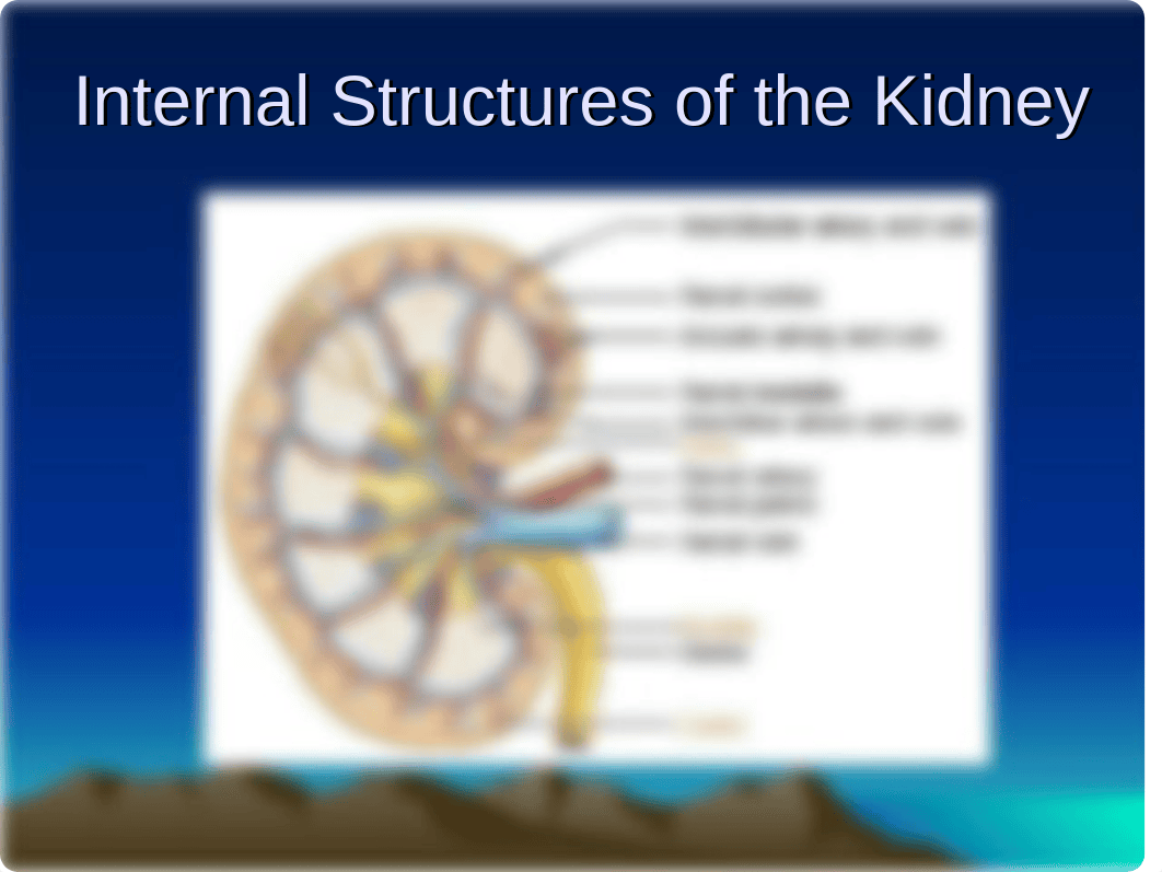 Urinary system-'11.ppt_d5xhs0hkpym_page3