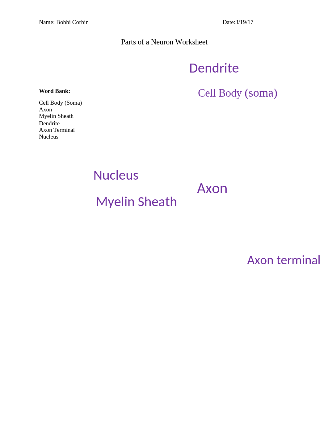 Parts of a Neuron Worksheet Answers_d5xjao6909p_page1