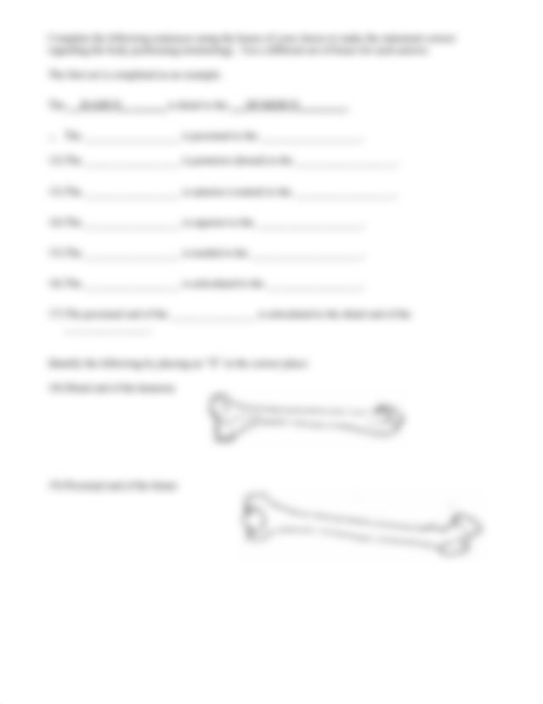 Osteo and Appendicular Worksheet.docx_d5xp5xvz6ac_page2