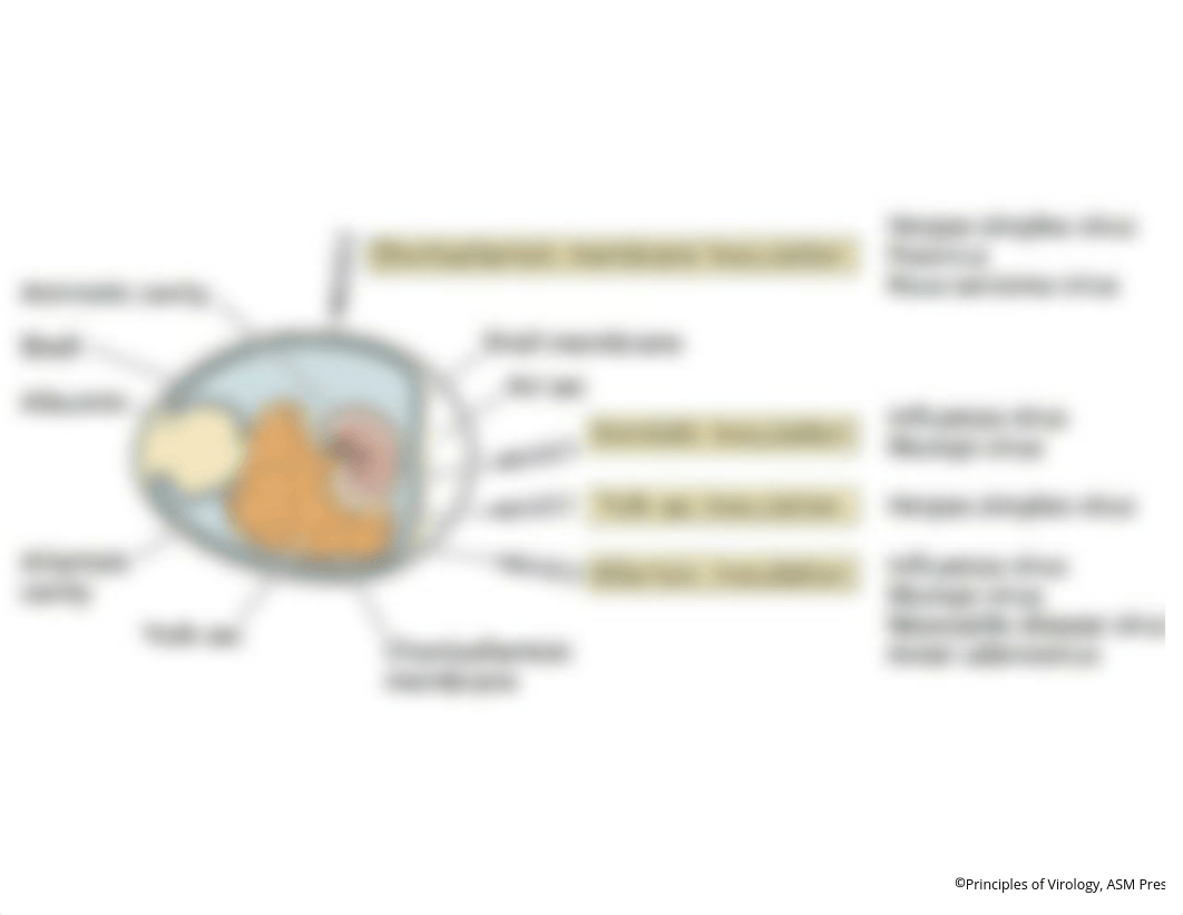 struture lecture_d5xxwrba8h2_page5