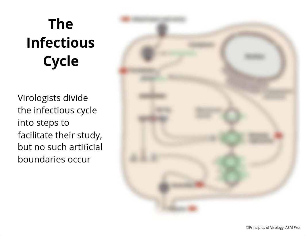 struture lecture_d5xxwrba8h2_page2