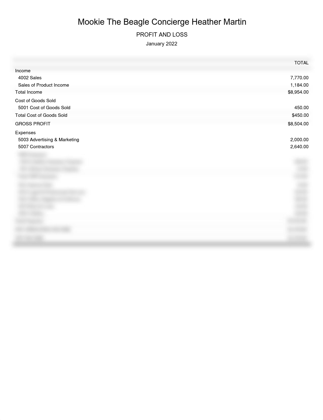 ProfitandLoss (1).pdf_d5xztw4ucoj_page1