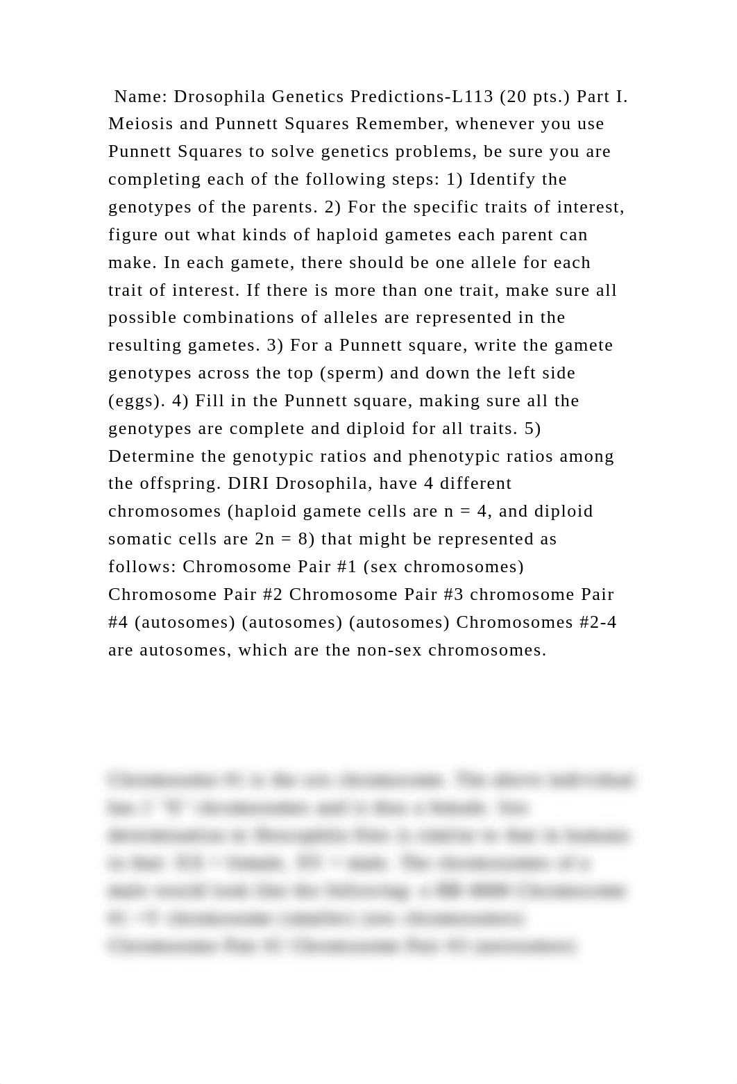 Name Drosophila Genetics Predictions-L113 (20 pts.) Part I. Meiosis .docx_d5y1000prts_page2