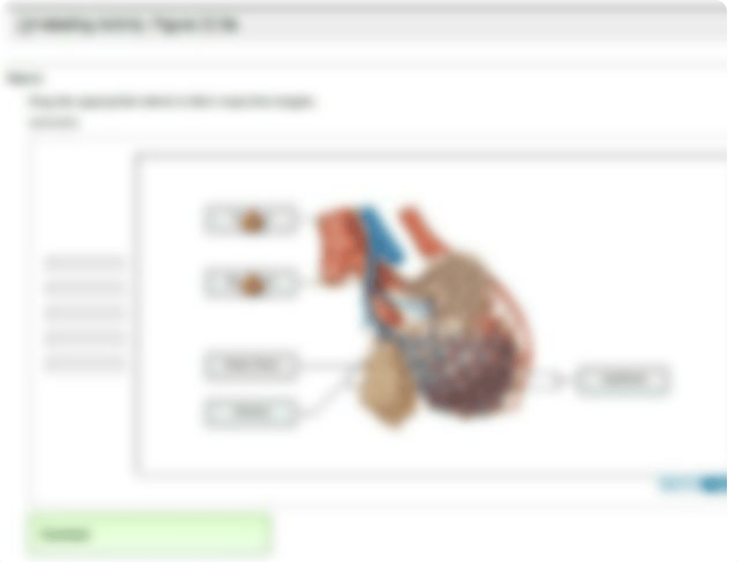 Respiratory Anatomy_d5y7kj47843_page5