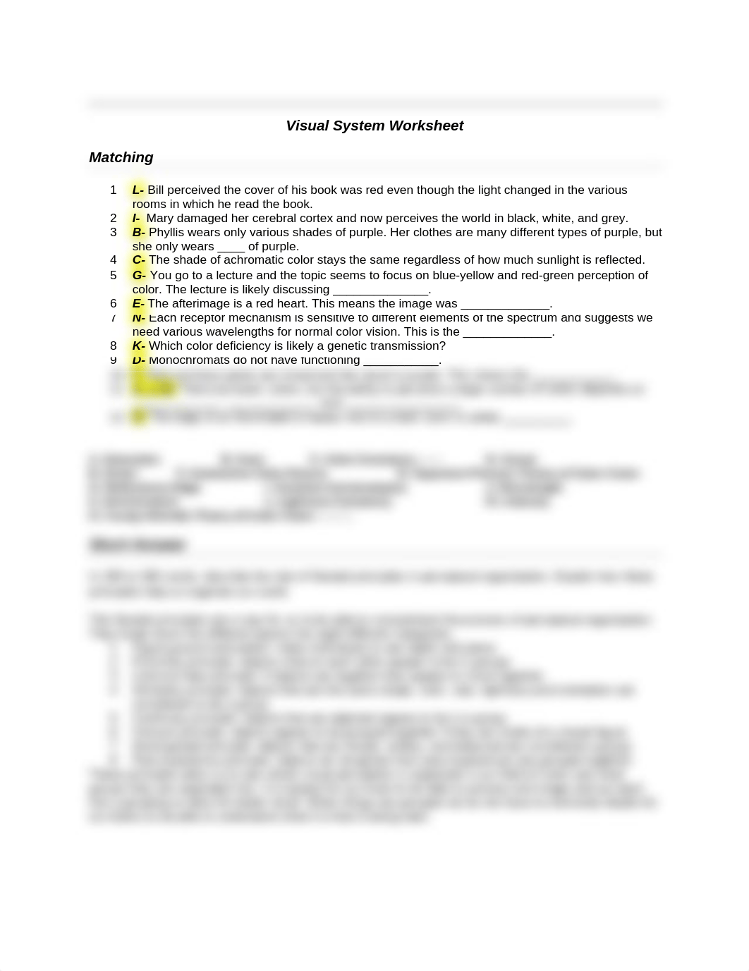 Visual System Worksheet_d5y94zne9xr_page1