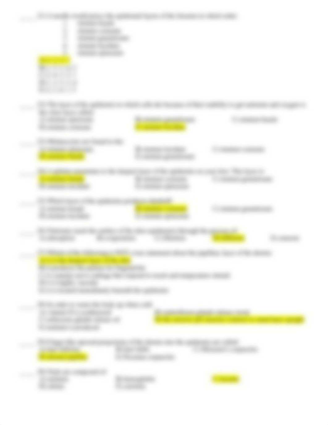 Ch 04 HandOut Membranes Integumentary.doc_d5yahzrndnh_page3