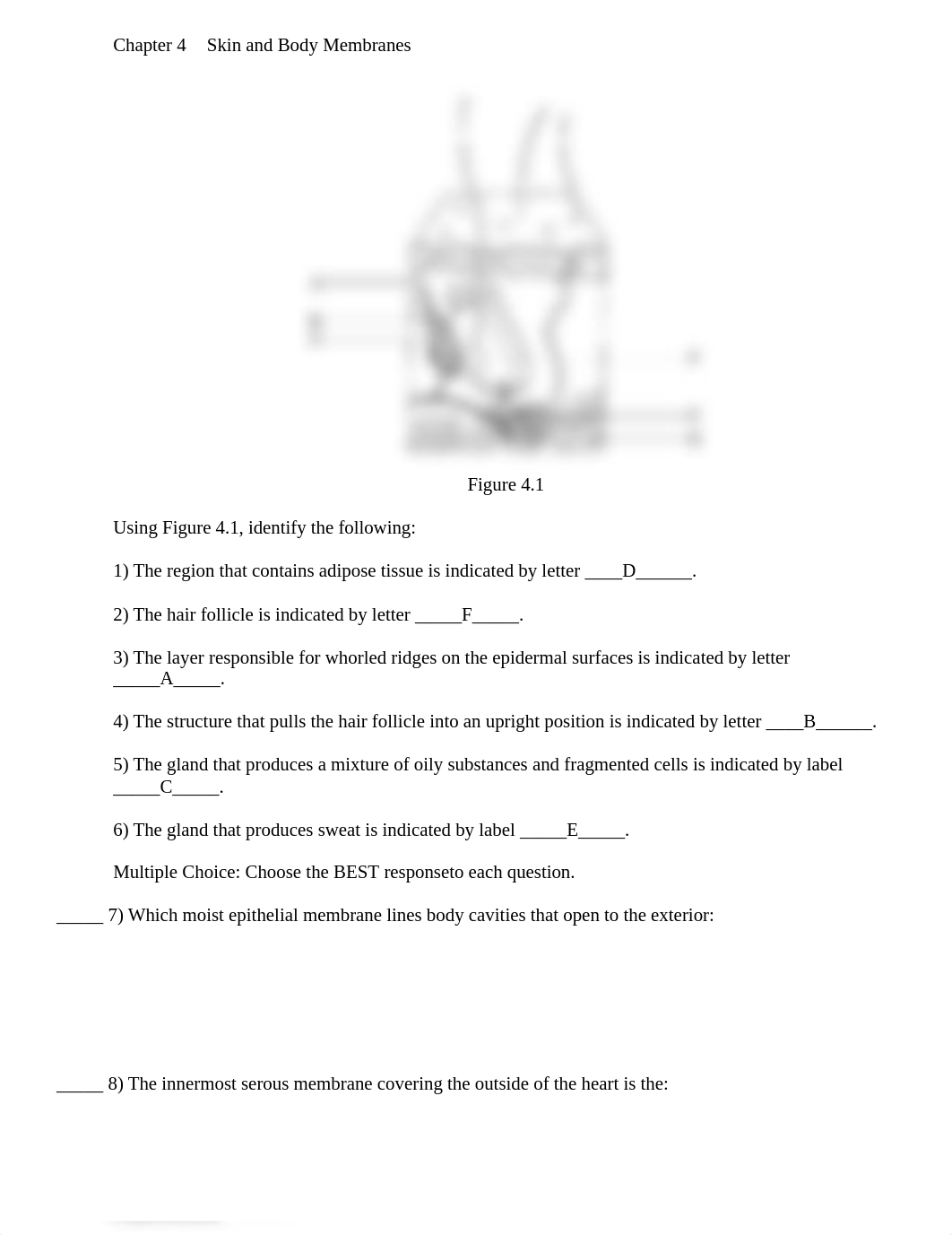 Ch 04 HandOut Membranes Integumentary.doc_d5yahzrndnh_page1