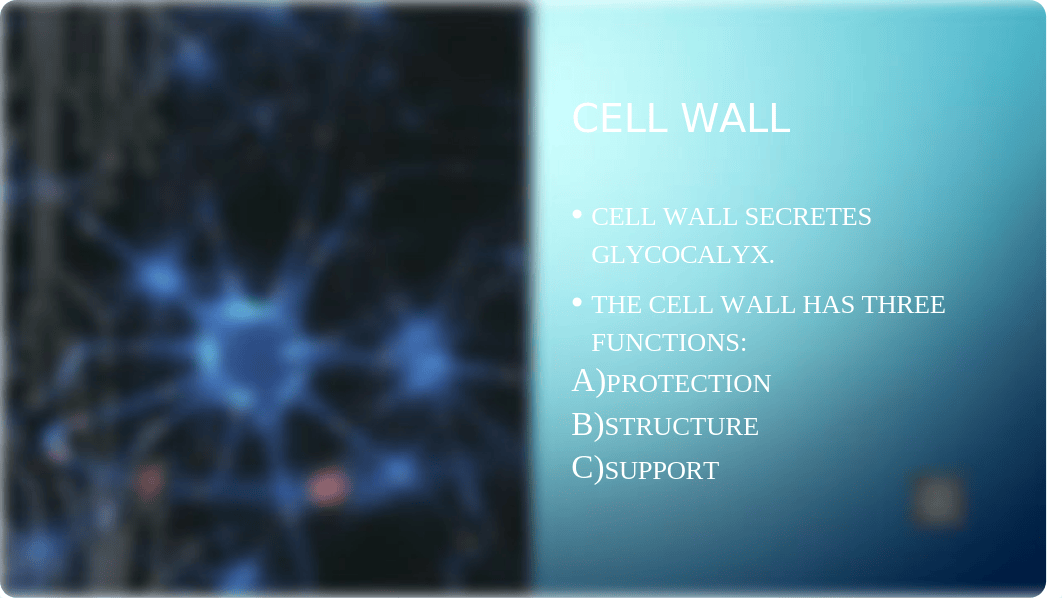 Unit 2 Assignment SC246 Fundamentals of Microbiology.pptx_d5yarxrlhdf_page5