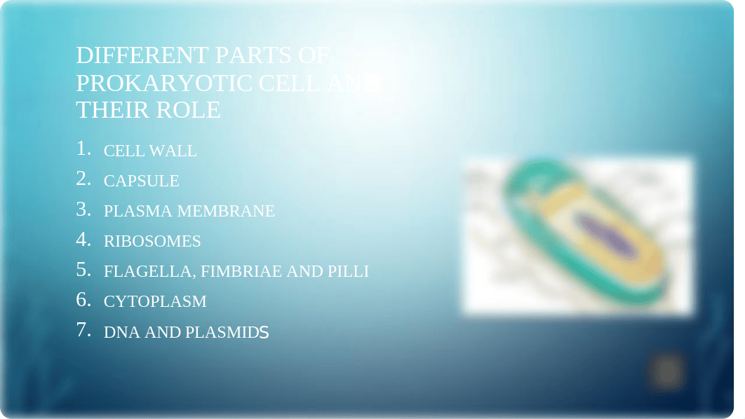 Unit 2 Assignment SC246 Fundamentals of Microbiology.pptx_d5yarxrlhdf_page4