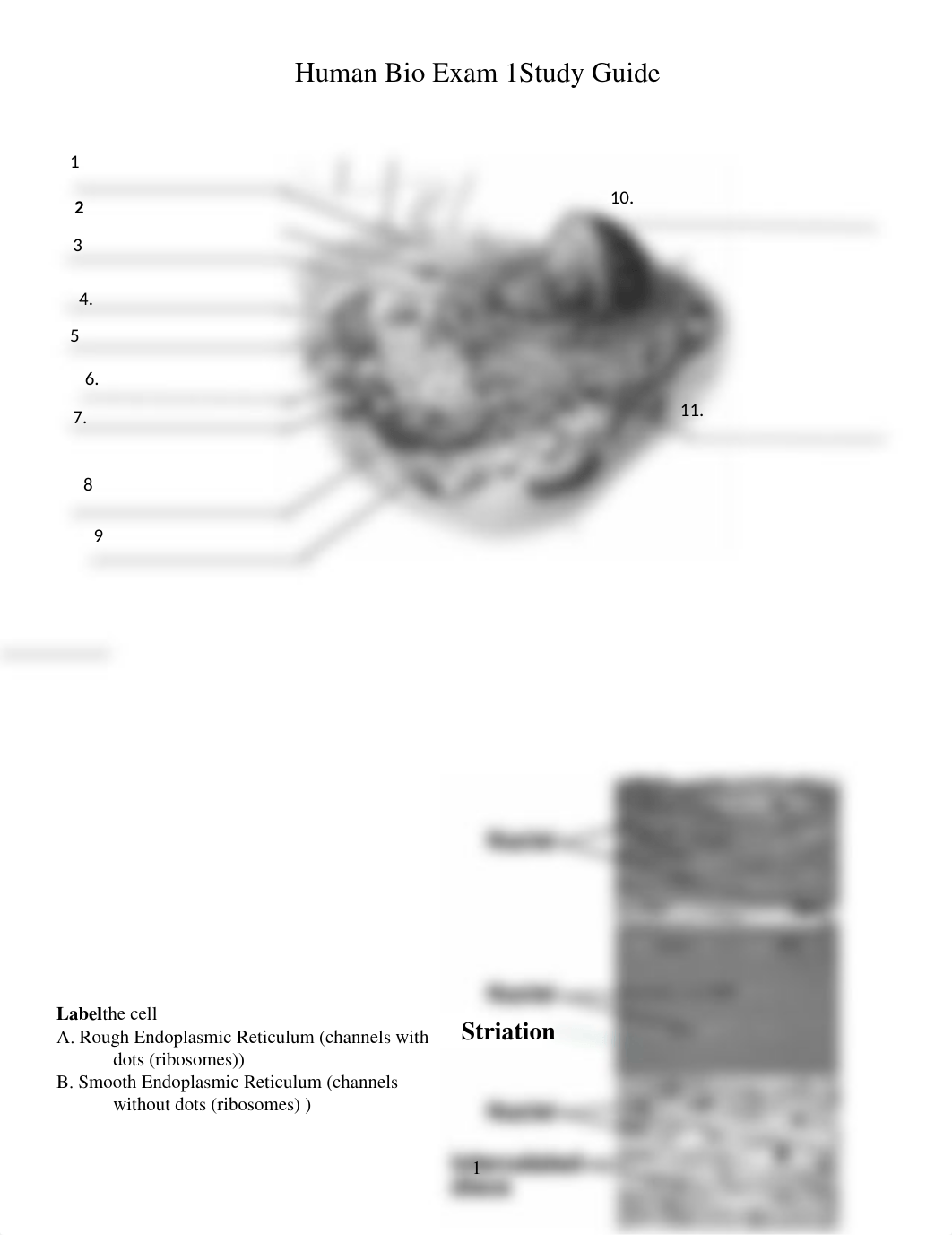 Unit 1 exam1 Study Guide_d5z4a5kgmcq_page1