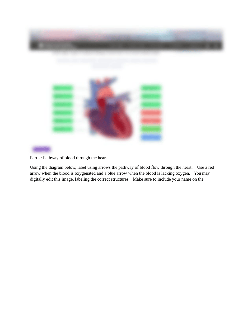 Module 7 Laboratory Activity.docx_d5zcx8wj0rb_page2