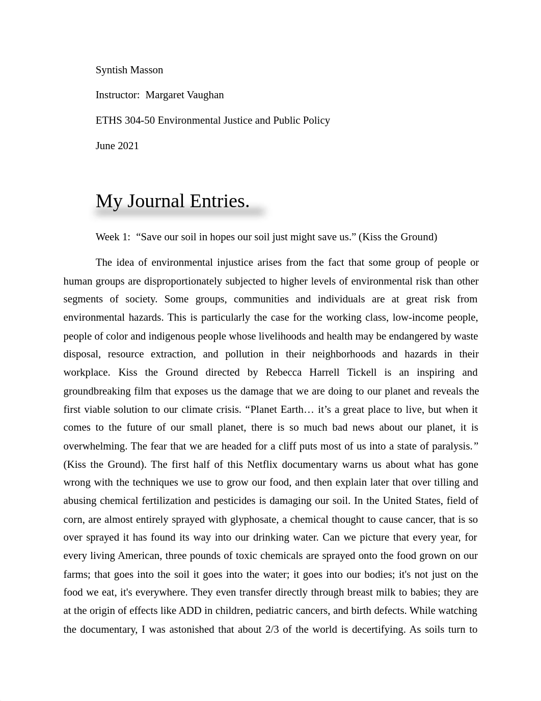 SyntishMasson_JournalEntries.pdf_d5zdkot378n_page1