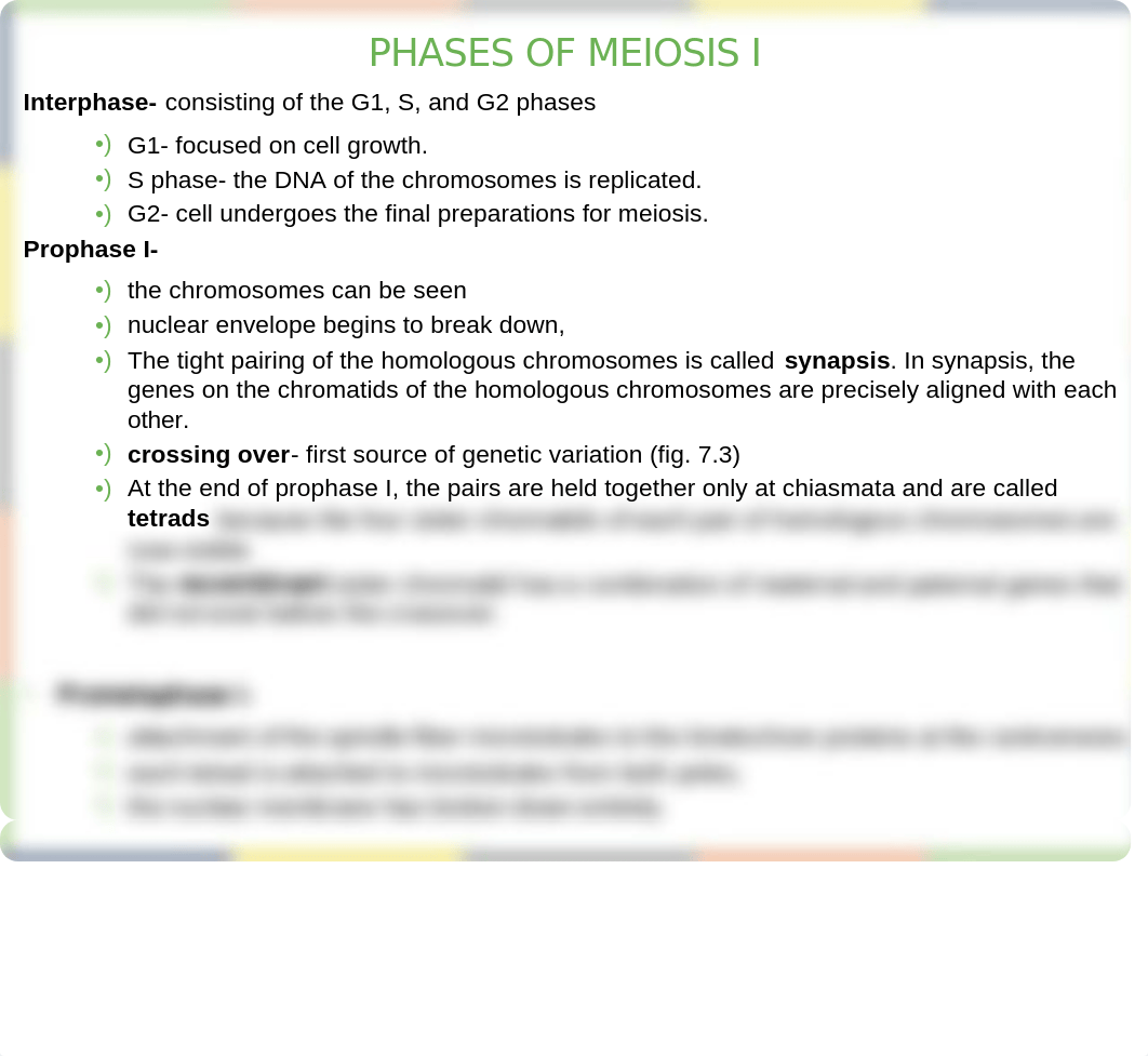 chapter 7 Meiosis PPT.pptx_d5zf0ds78fg_page5