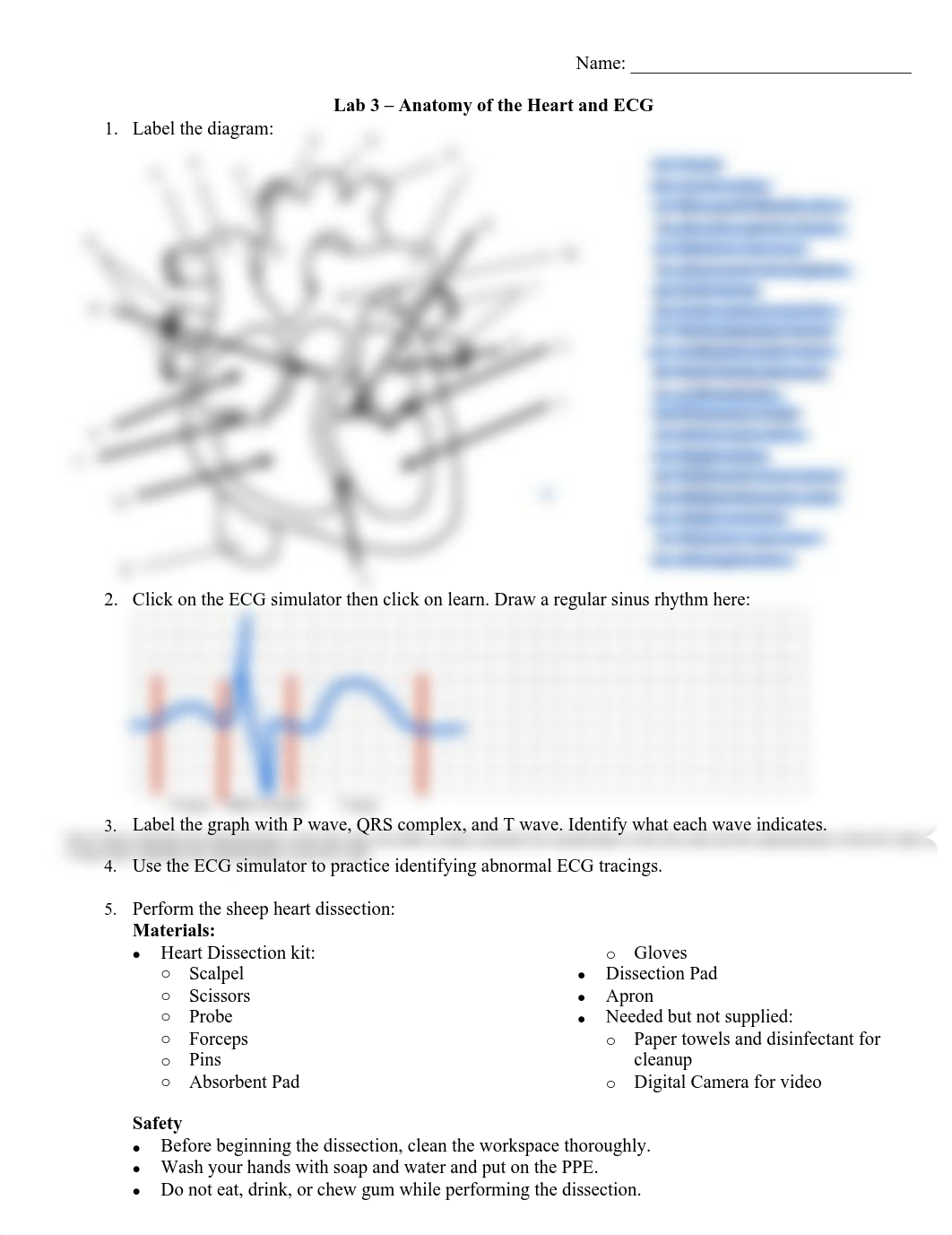 BIO 169 Lab 3.pdf_d5zrv8es2i3_page1