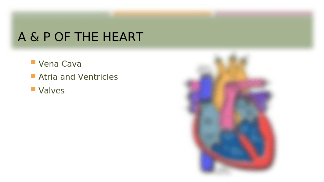 Unit 3a_Cardiac dysrhythmias_S.pptx_d5ztg86nrs1_page4