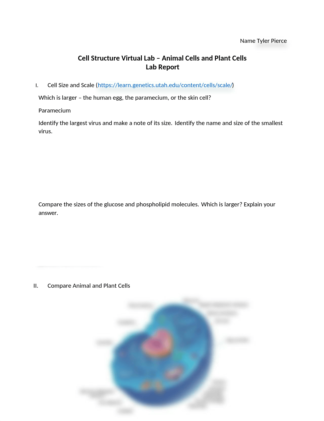 Cell Structure Virtual Lab - Lab Report.docx_d5ztnfwm8dl_page1