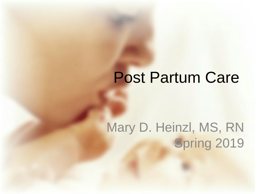 Postpartum Care 2019.ppt_d5zzrrir3lv_page1