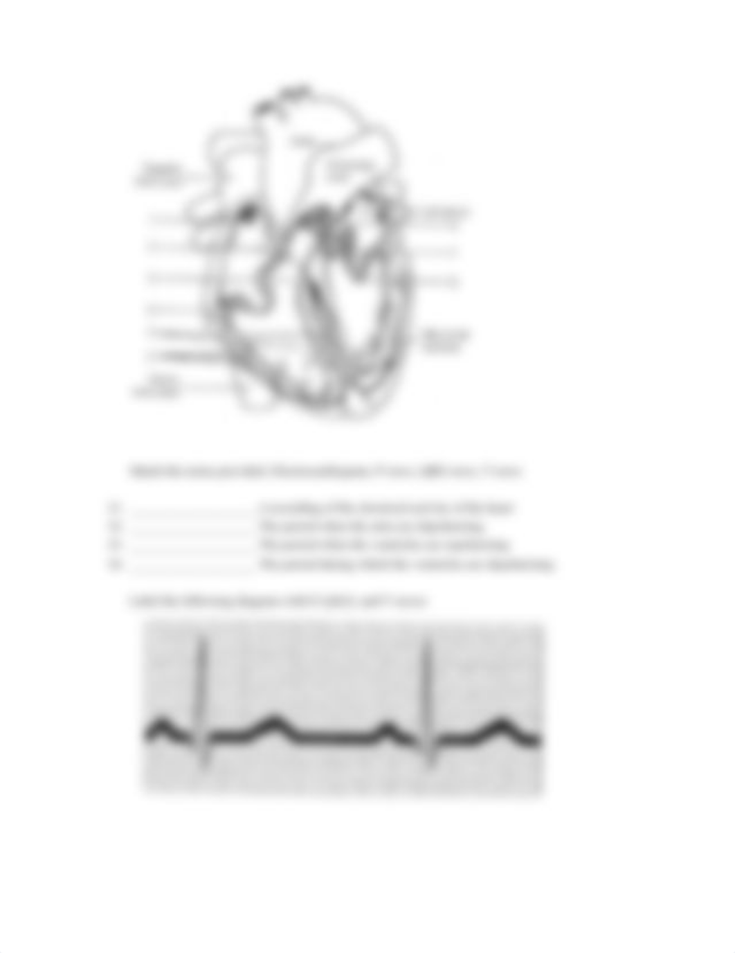 Heart worksheet II.docx_d60nk64hucr_page2