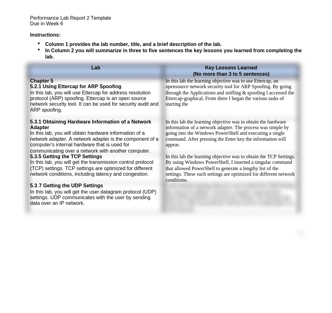 cf_performance_lab_report_2_template_7-20-20.docx_d60oigaw57u_page2