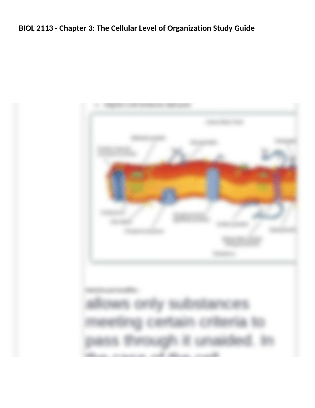 BIOL_2113_Ch3_StudyGuide_(1)(1)_d61jwkz01ii_page1