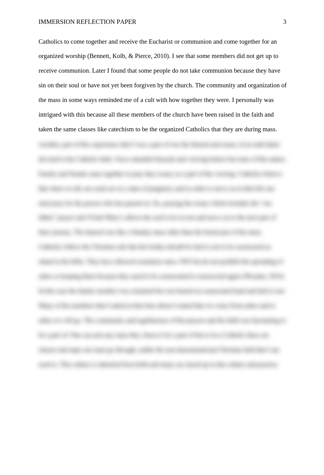 ImmersionReflectionPaper.docx_d61xa2zy2im_page3