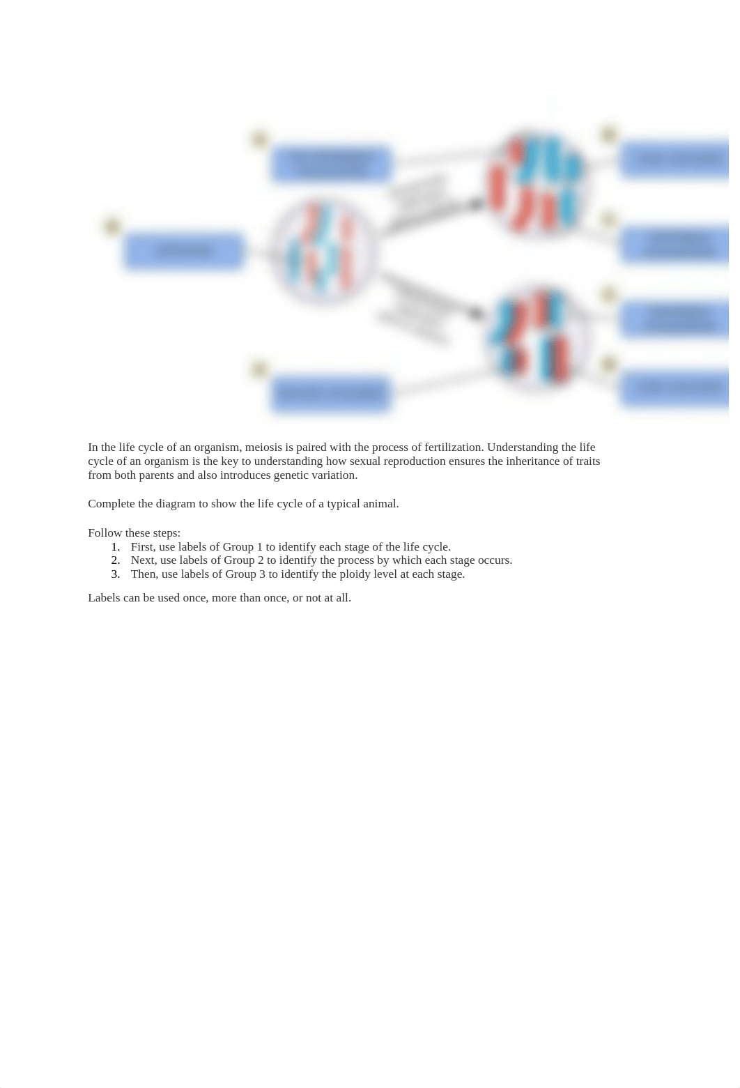 Meiosis genes.docx_d622c49xme5_page3