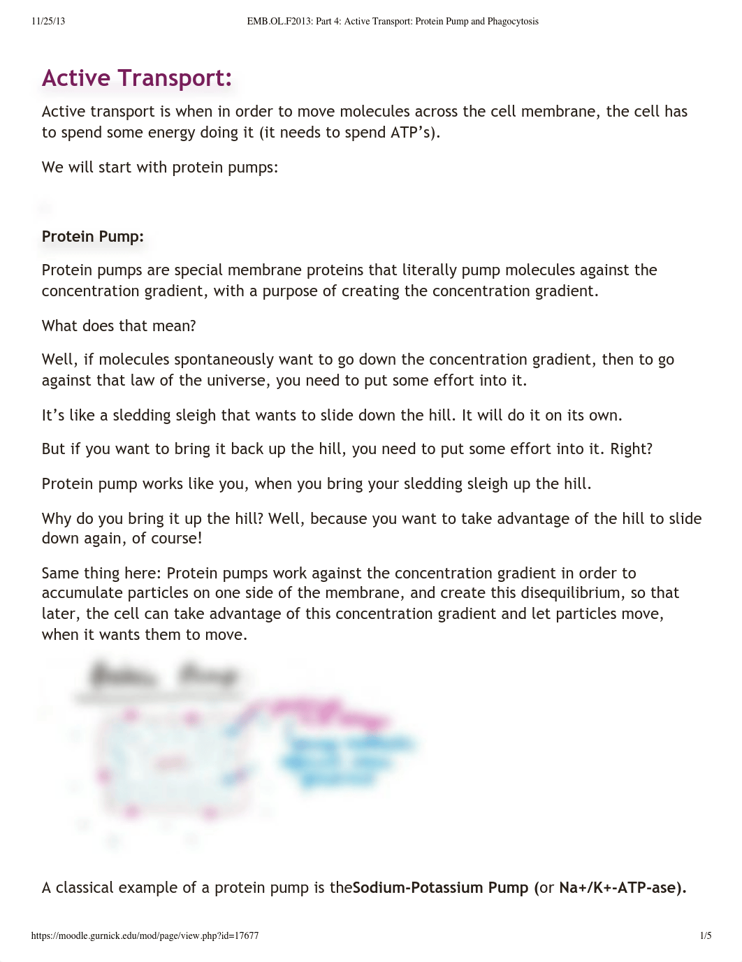 Lecture 6 part 4_d623eaq10oq_page1