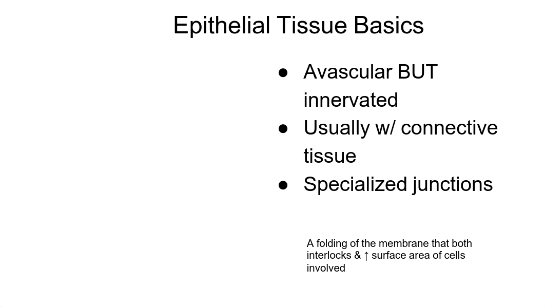 3 tissues STUDENT Anatomy BIO 239 FA2019.pdf_d624wwj1uqv_page5