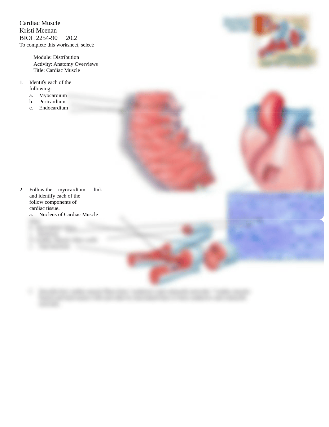 A&P 20.2_d625y3oyj6h_page1