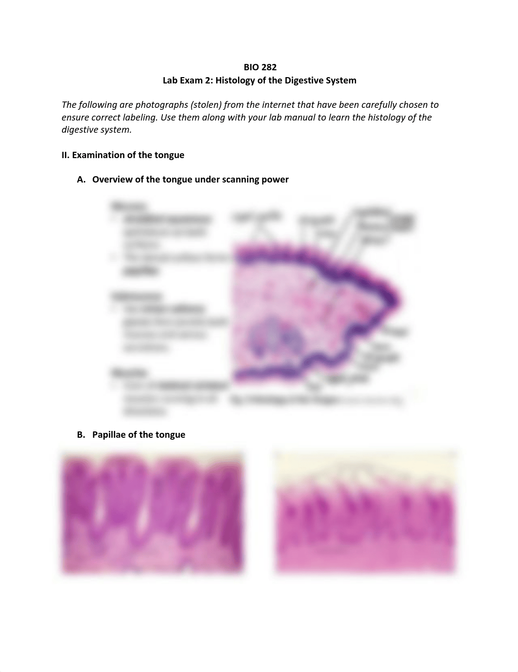 Histology of the Digestive System s20 (1).pdf_d62dbue0yko_page1