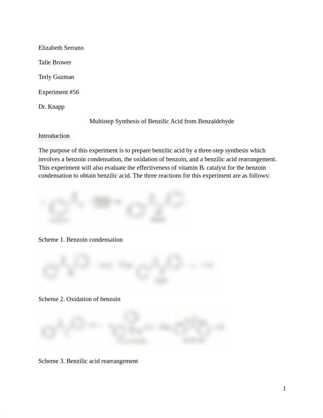 CHM 255 Lab Report (Lab 56).docx_d62dtdk71lj_page1