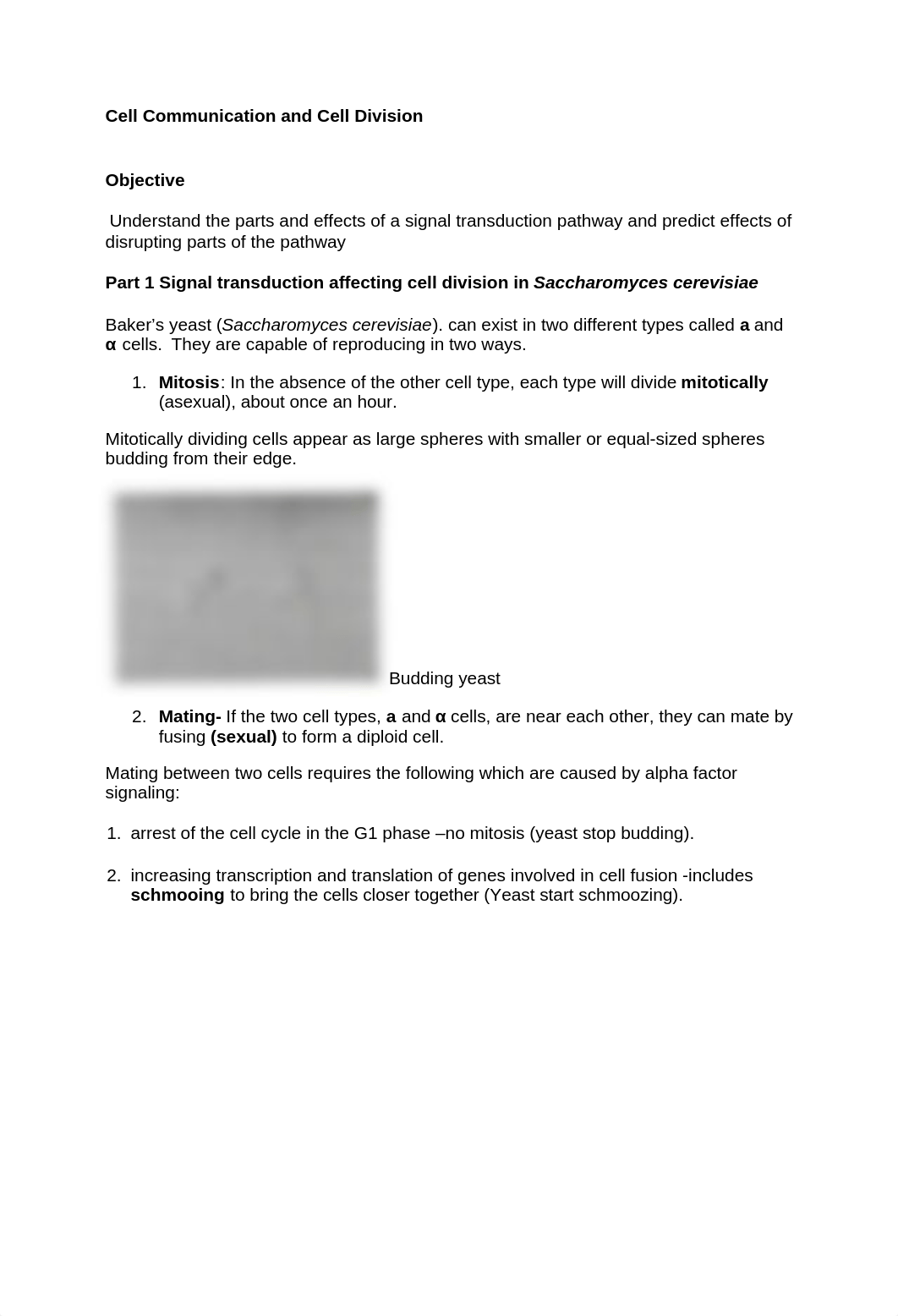 Cell Communication Lab .docx_d62e6eawxp1_page1