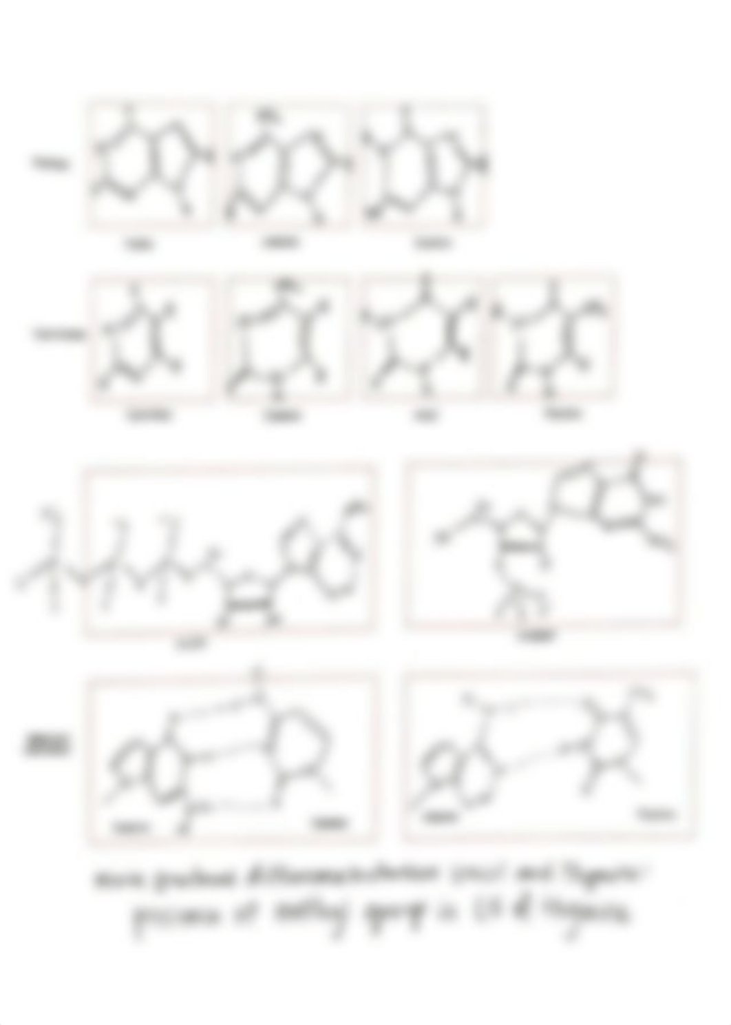 Basic Concepts Worksheet 8.1.pdf_d62qjsyd7dy_page1