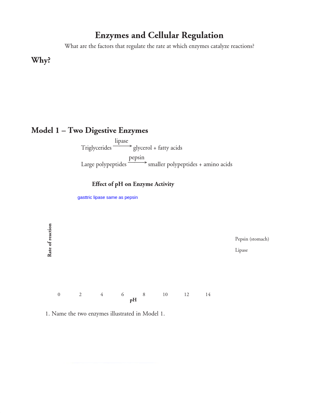 6_Enzymes_and_Cellular_Regulation-S(1).pdf_d62rr8y6o5u_page1