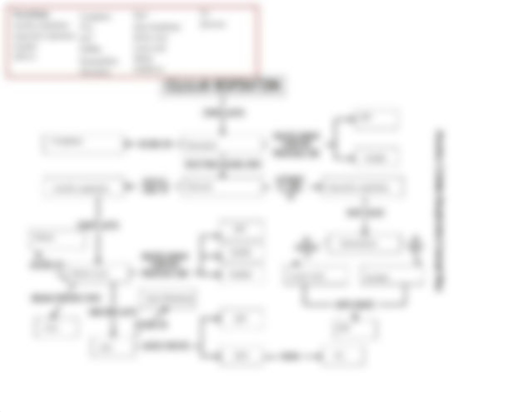 Reese Martin - Cellular Respiration Concept Map.pdf_d62u4sv6ylq_page1