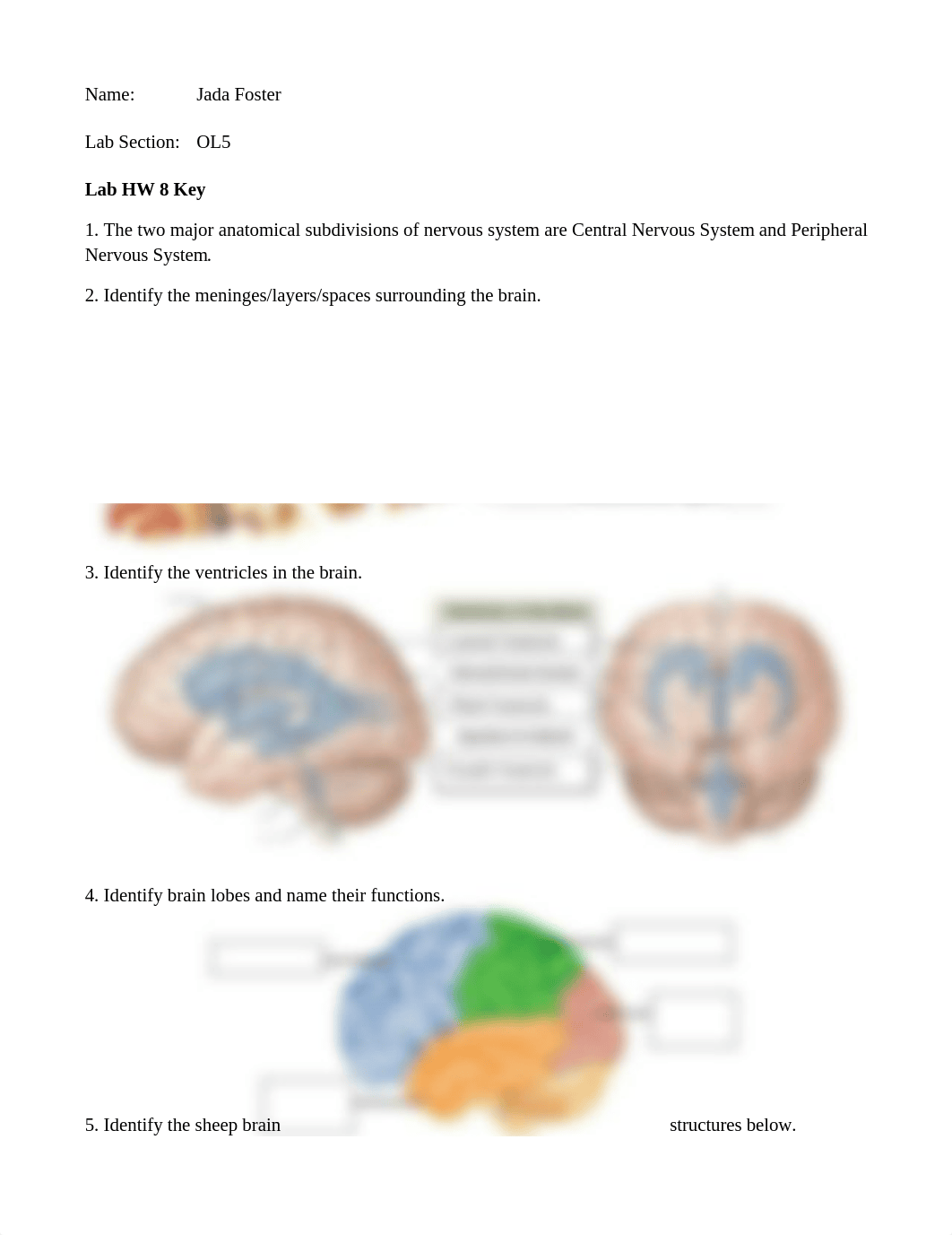 Lab HW 8.docx_d631wrhkspv_page1