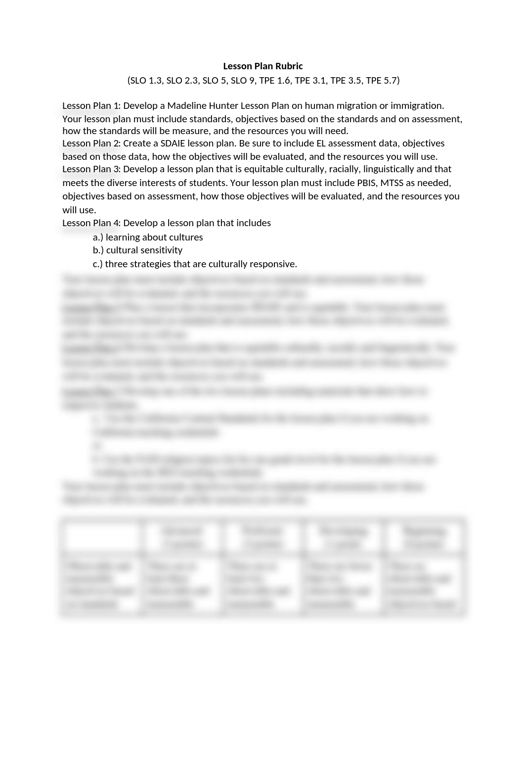 Lesson Plan Rubric 1.docx_d6337aku78y_page1