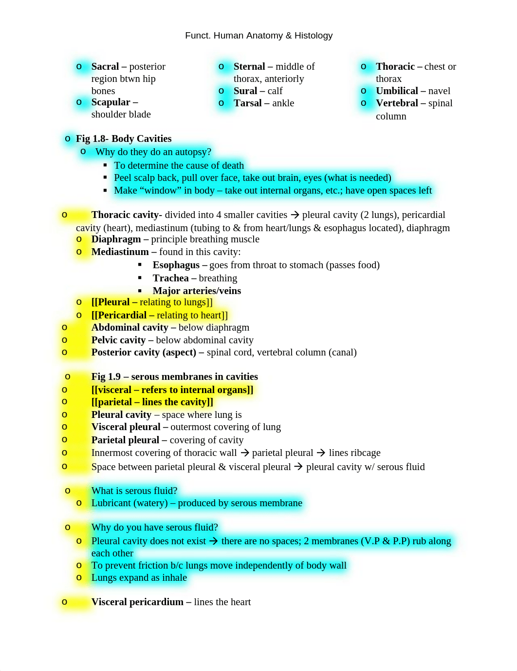 Anatomy Exam # 1_d63f6tmhfb1_page3