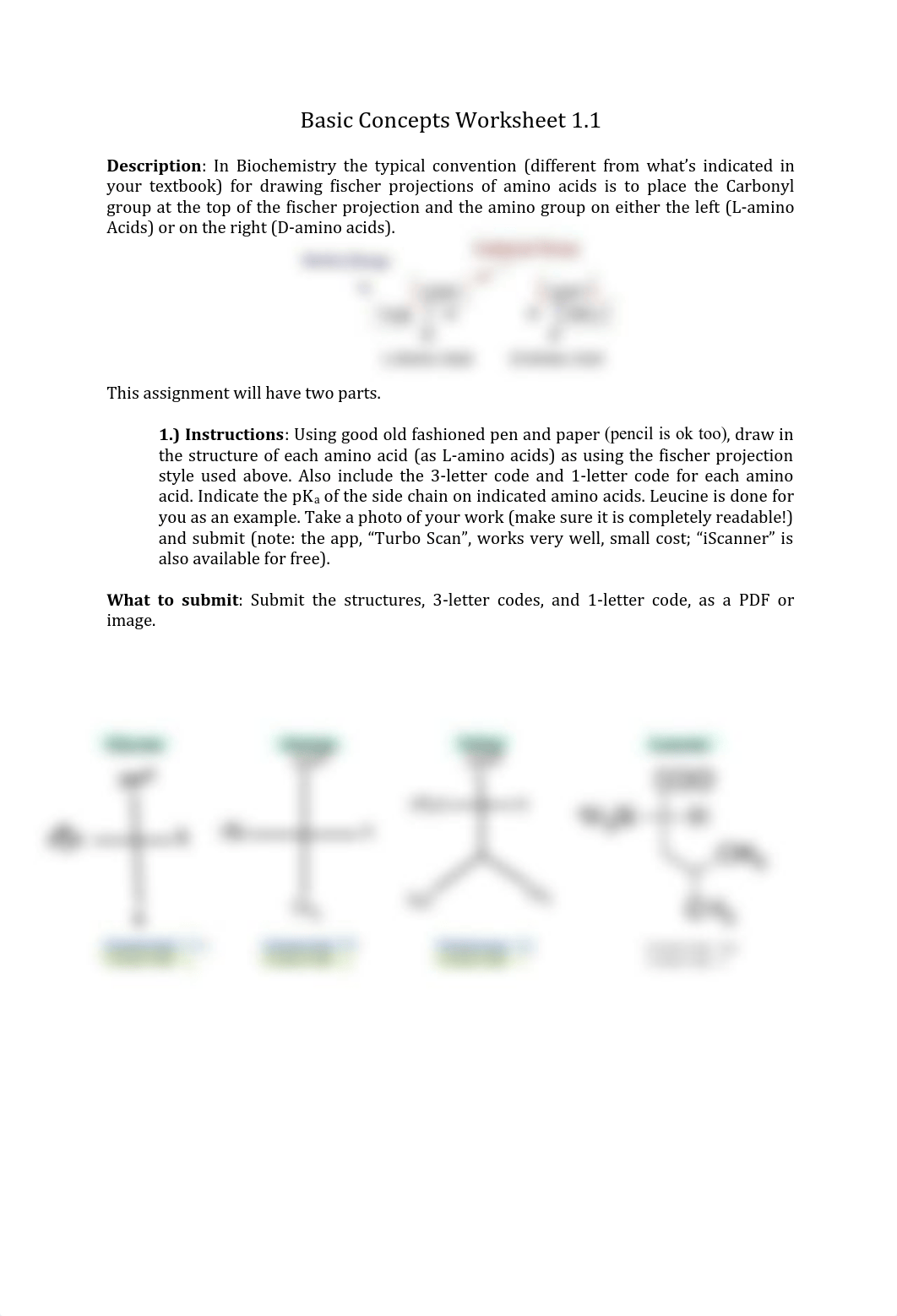 Basic Concepts Worksheet 1.1 .pdf_d63kelwdf8e_page1