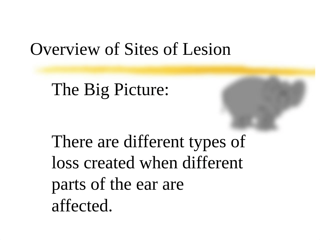 Site of Lesion_d63nssx66qp_page1