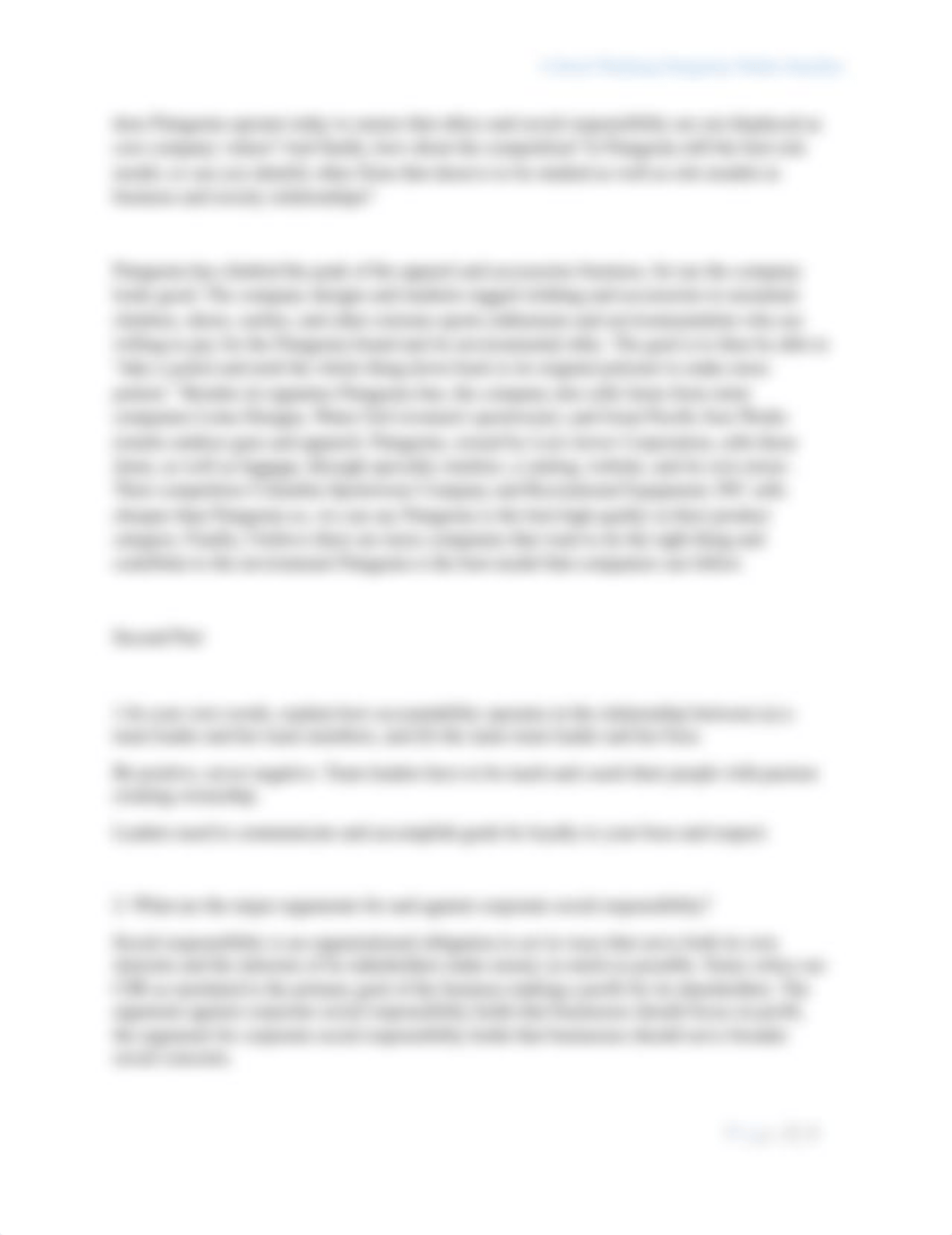 Critical Thinking Patagonia_d63pyyd1b17_page2