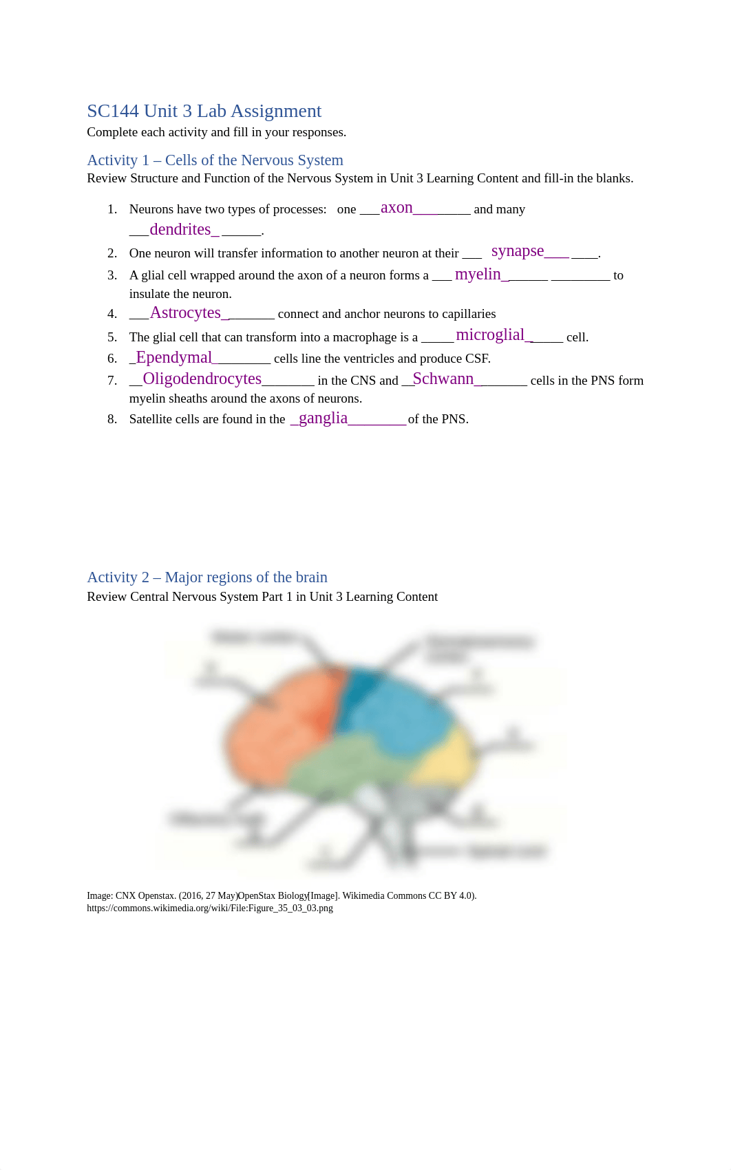 SC144 Unit 3 Lab Assignment_Form.docx_d63u3mdls1j_page1